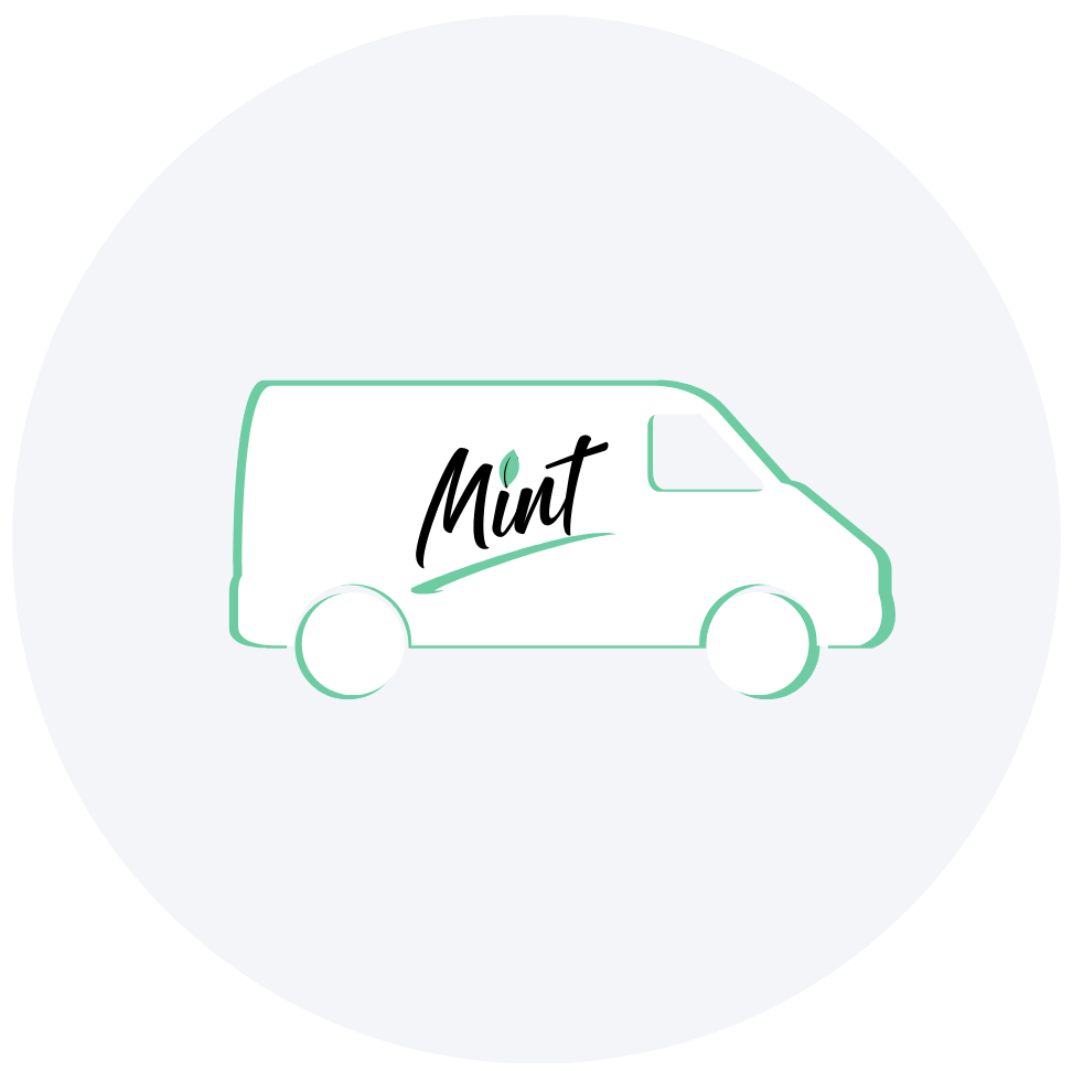 Mint Mobile car Detail van