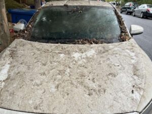 sap on a car