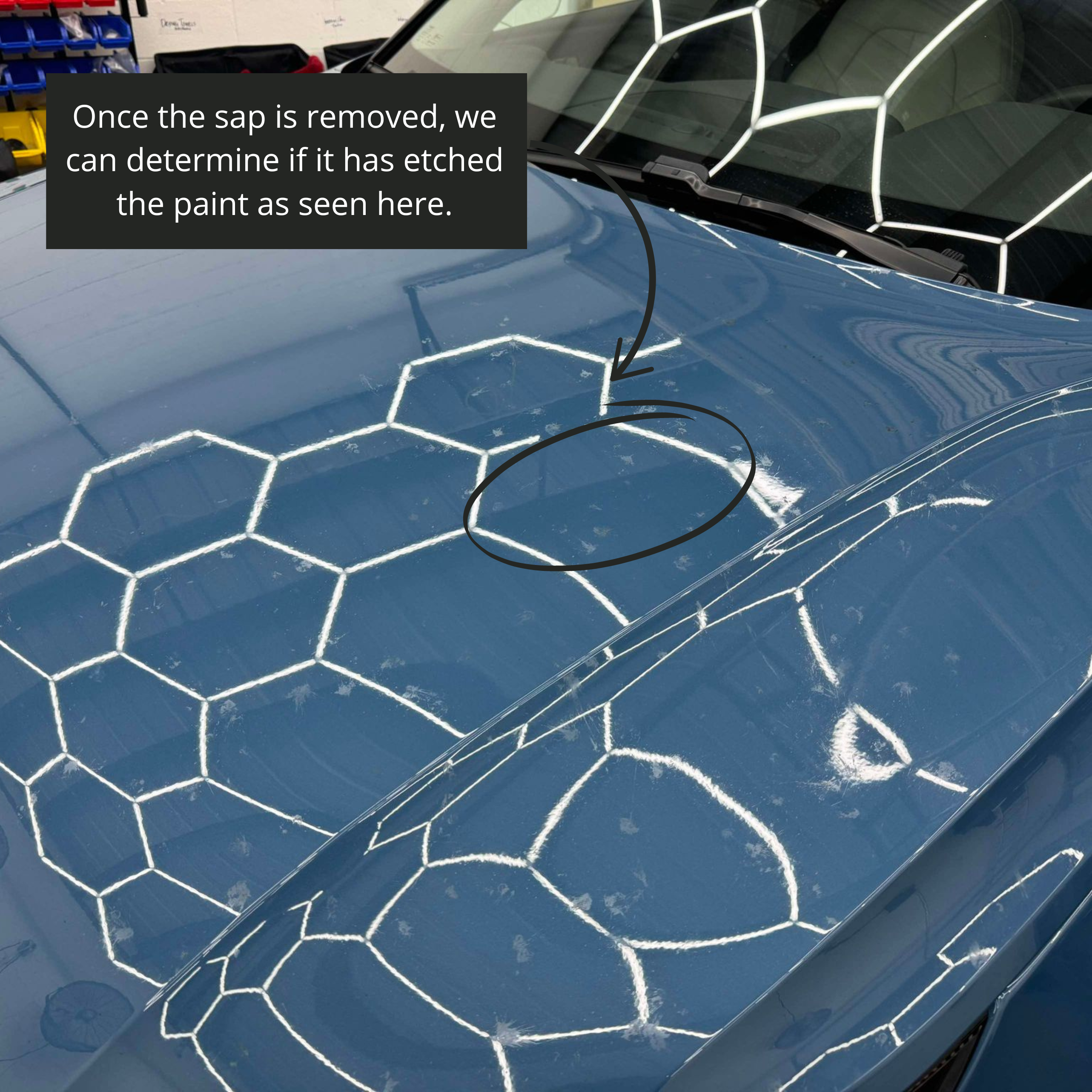 tree sap removal from car
